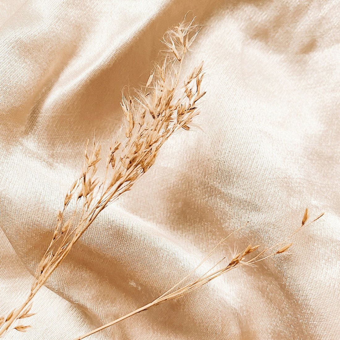 flax plant on top of a beige linen fabric