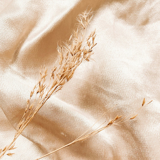 flax plant on top of a beige linen fabric