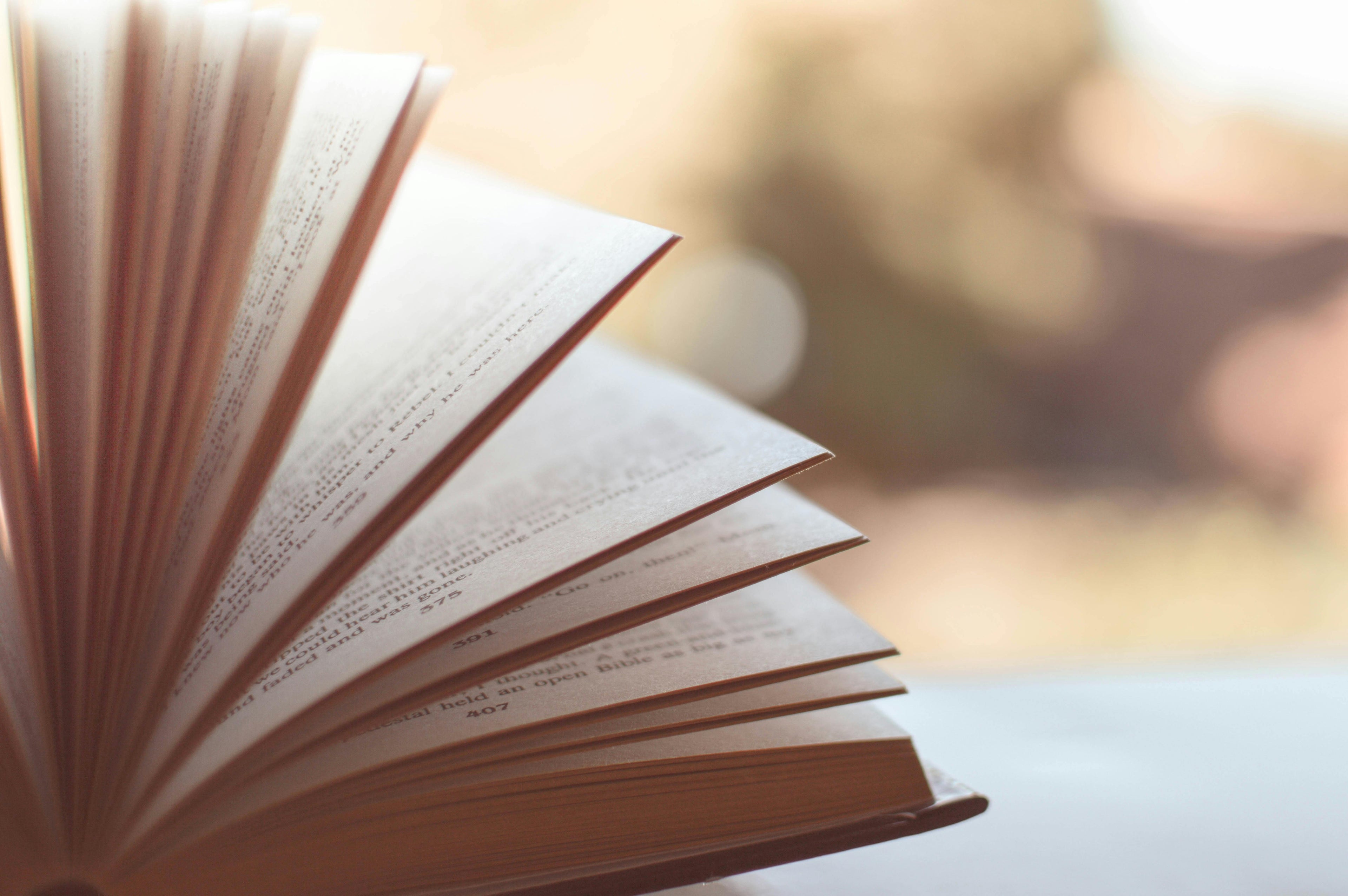 pen book with pages standing upright, set against a softly blurred background.