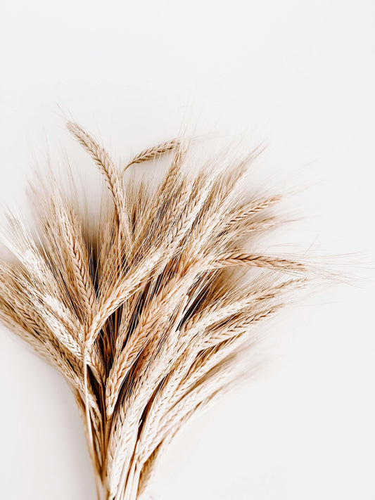 Close-up of a harvested bushel of flax, showcasing golden stalks and seed heads—raw material for linen textiles, rich in natural texture and integrity.