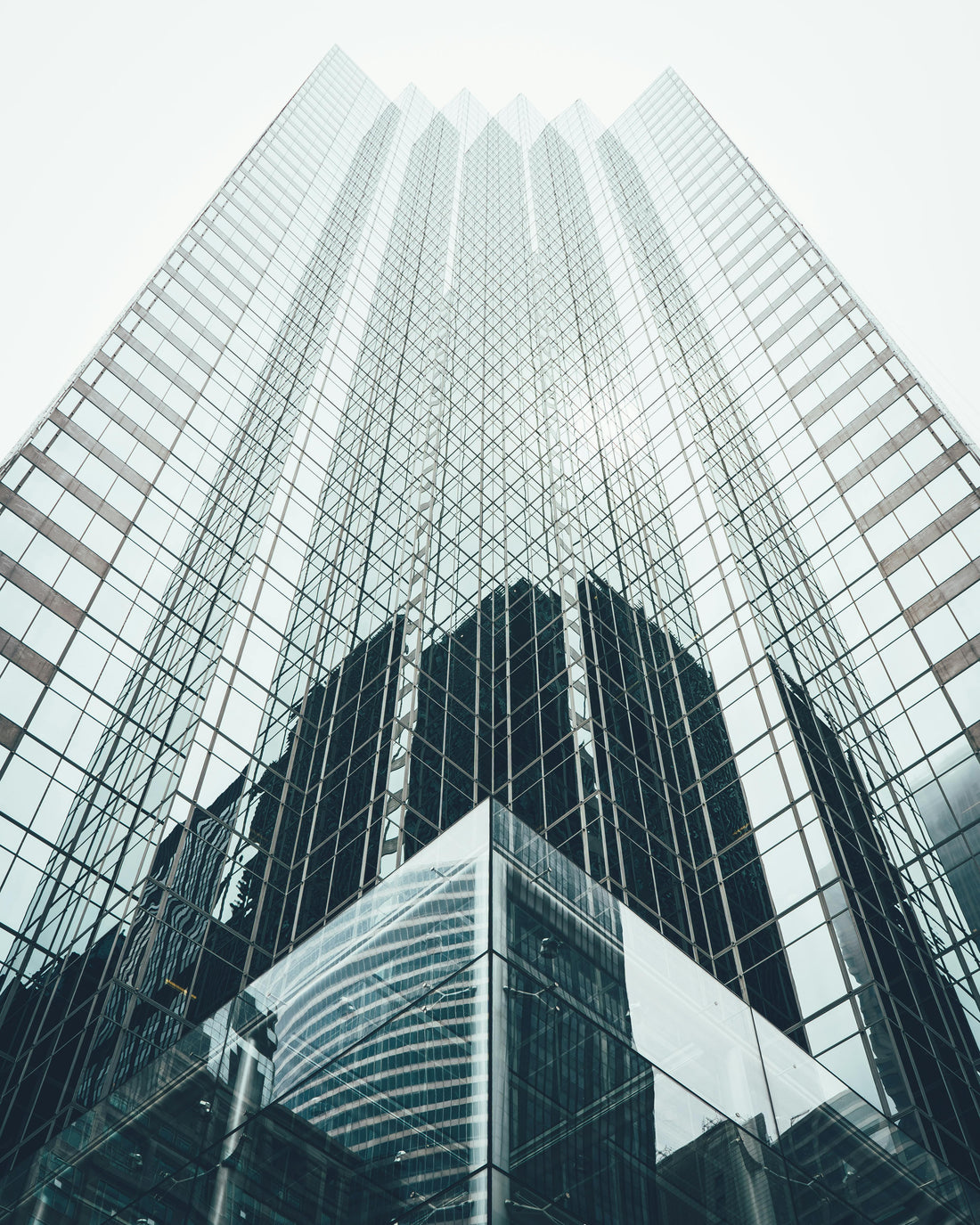 Upward view of a modern building—symbolizing growth, vision, and the architecture of brand-building.
